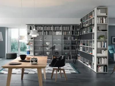 Libreria Modo Angolare Divisoria in laccato opaco e vetro di Sangiacomo