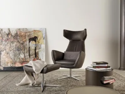 Poltrona in pelle Gentleman di Art Nova