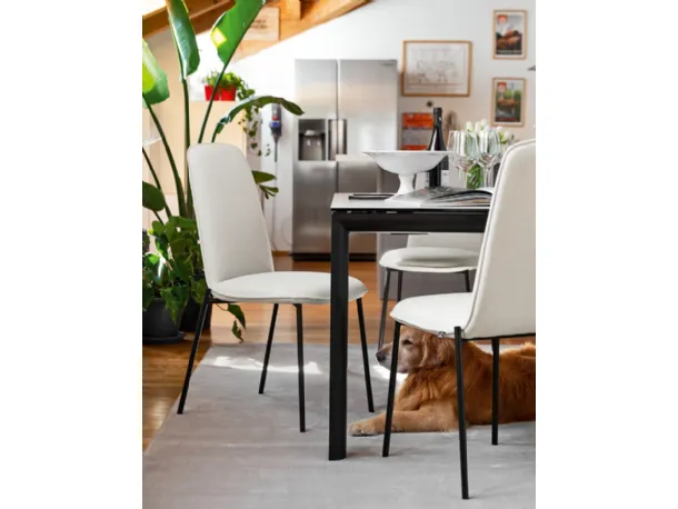 Sedia in tessuto imbottito con gambe in metallo Riley di Connubia